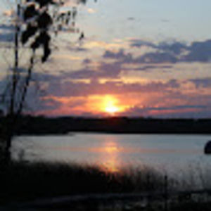 Meet your Posher, Riley